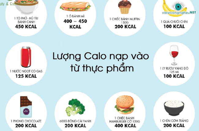 Luong calo nap vao