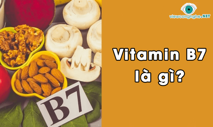 Vitamin B7 co tac dung gi?