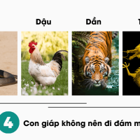 Danh sách 4 con giáp không nên đi đám tang để tránh đau ốm