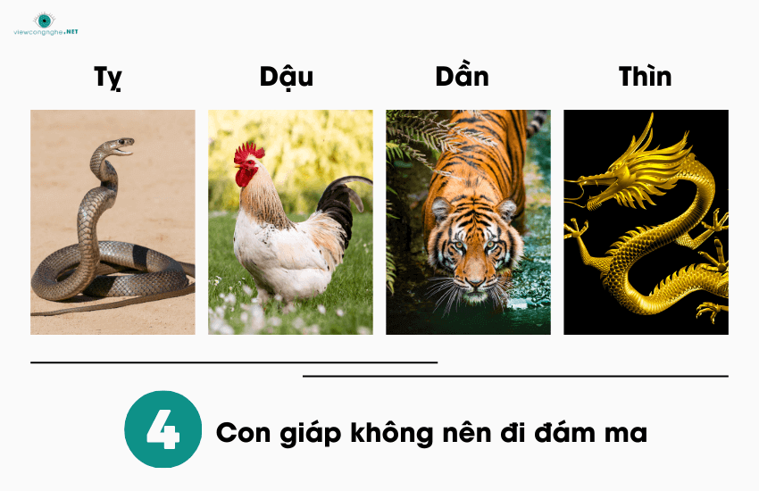 4 con giap khong nen di dam tang