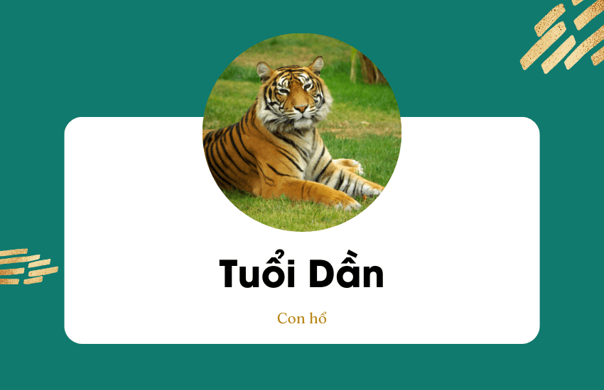 Tuoi dan khong nen di dam tang