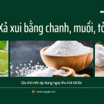 cach xa xui bang chanh muoi toi